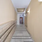 Apto Omeya & Center & Parking Incluido